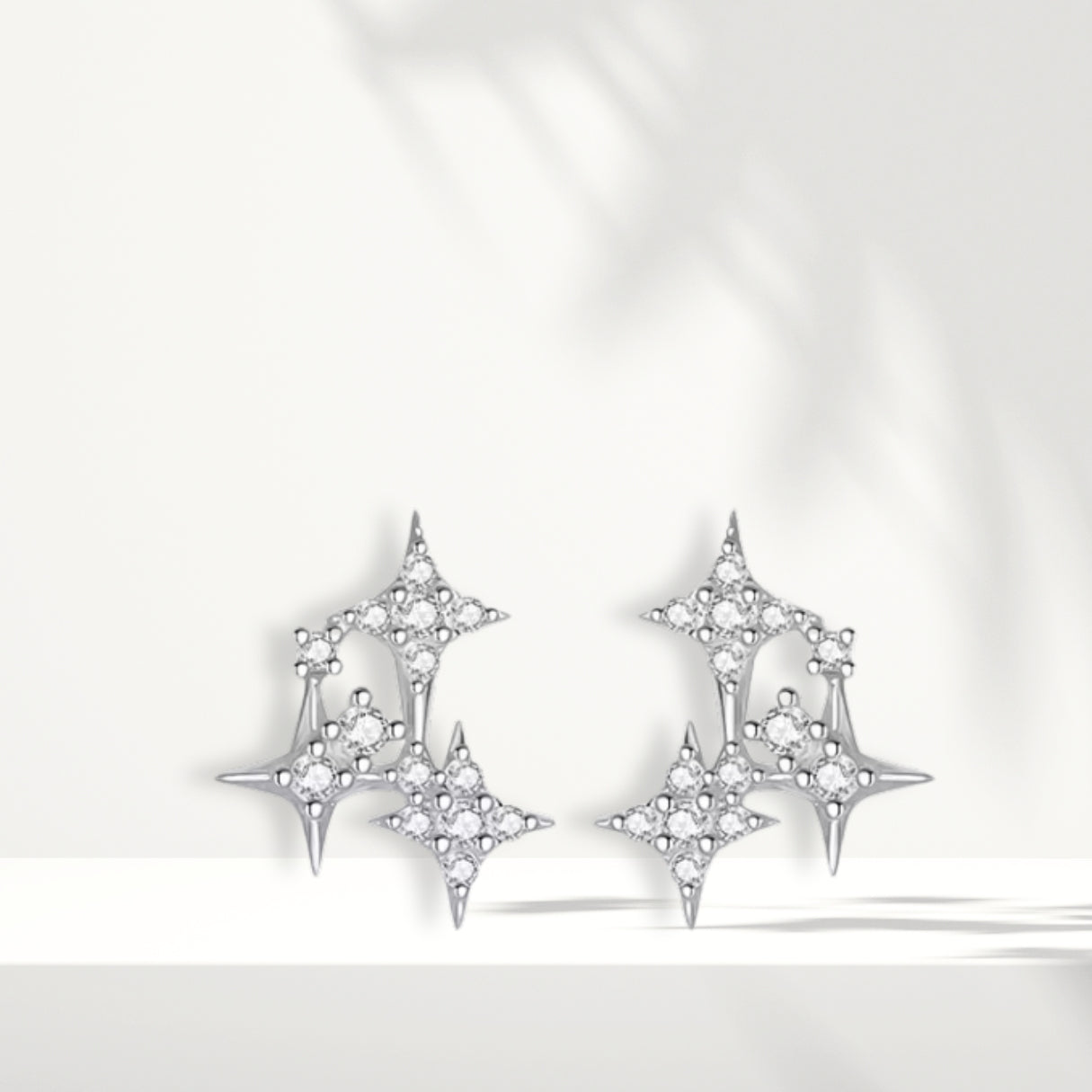 Orecchini in argento bianco