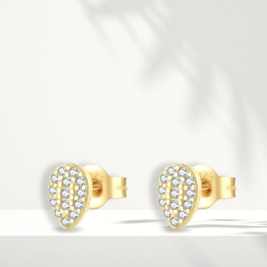 Orecchini in argento bianco