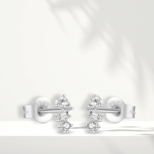 Orecchini in argento bianco