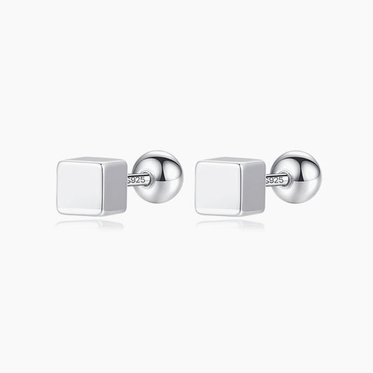 Orecchini in argento bianco